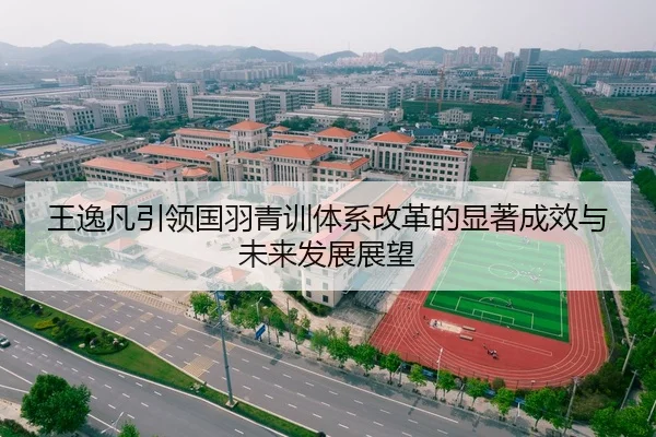 王逸凡引领国羽青训体系改革的显著成效与未来发展展望 - NG28
